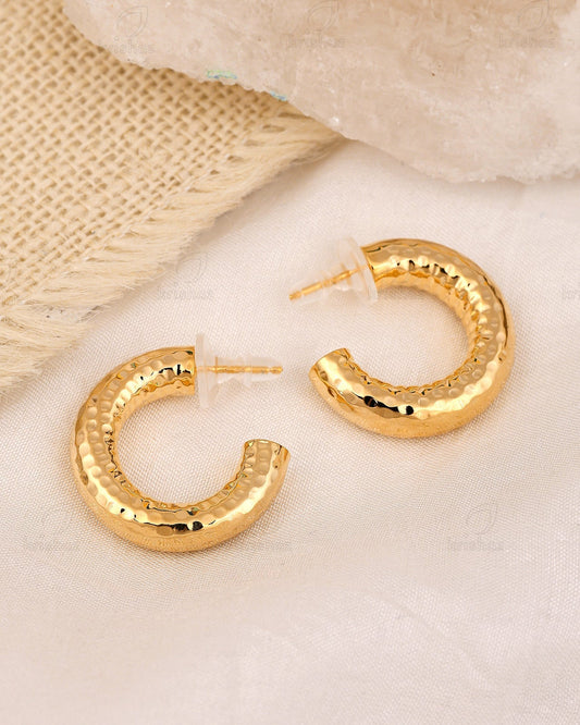 Roy Fashionable Stud Earrings