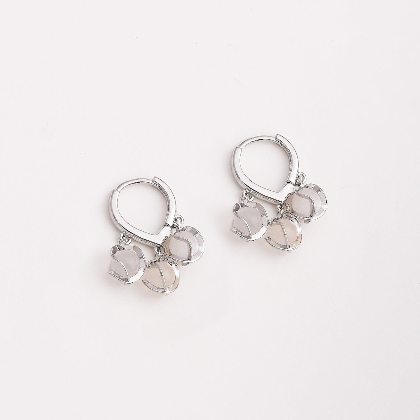 Daphne Fashionable Hoop Earrings